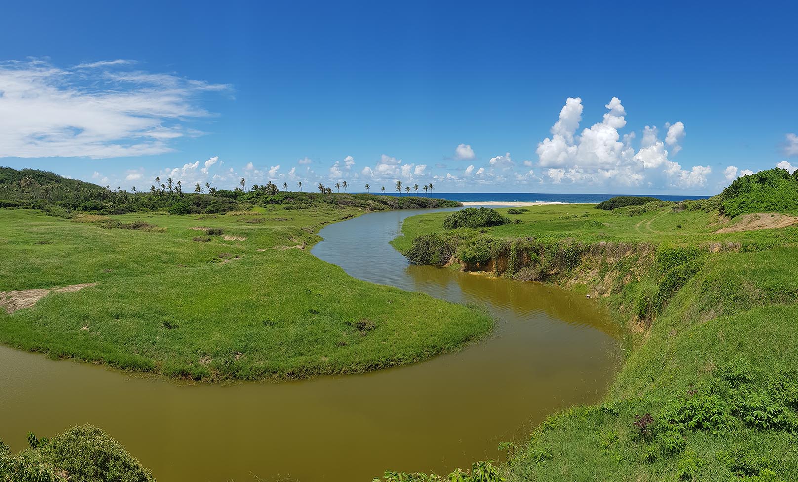 Nariva swamp, Trinidad & Tobago