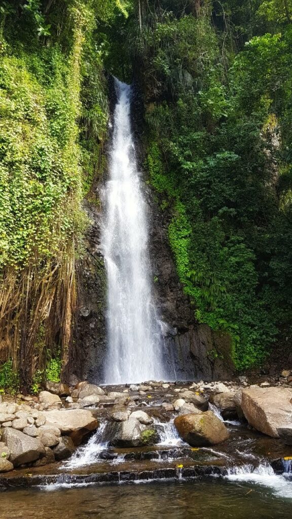 Dark view falls