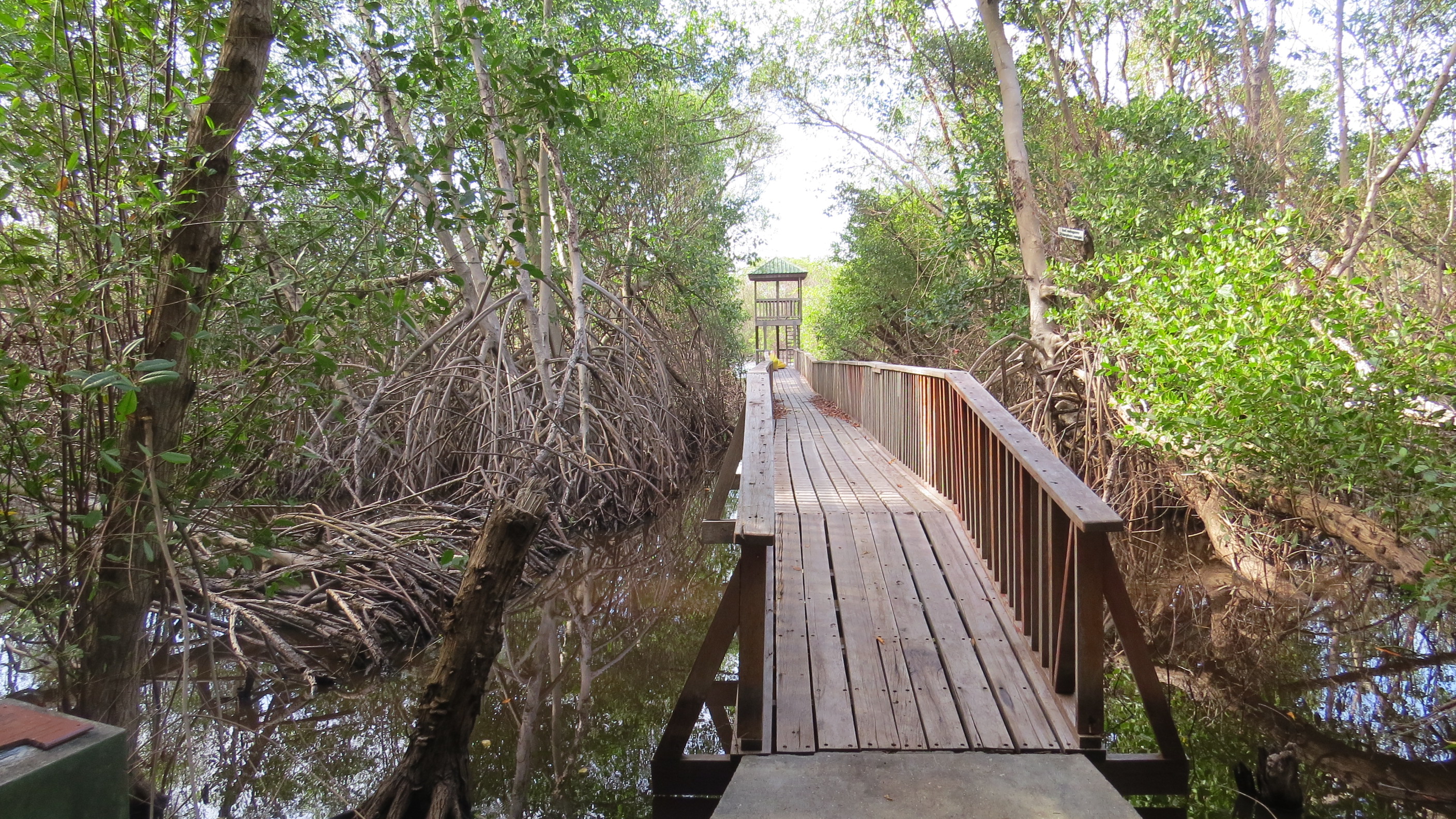 Levera Wetland Boardwalk