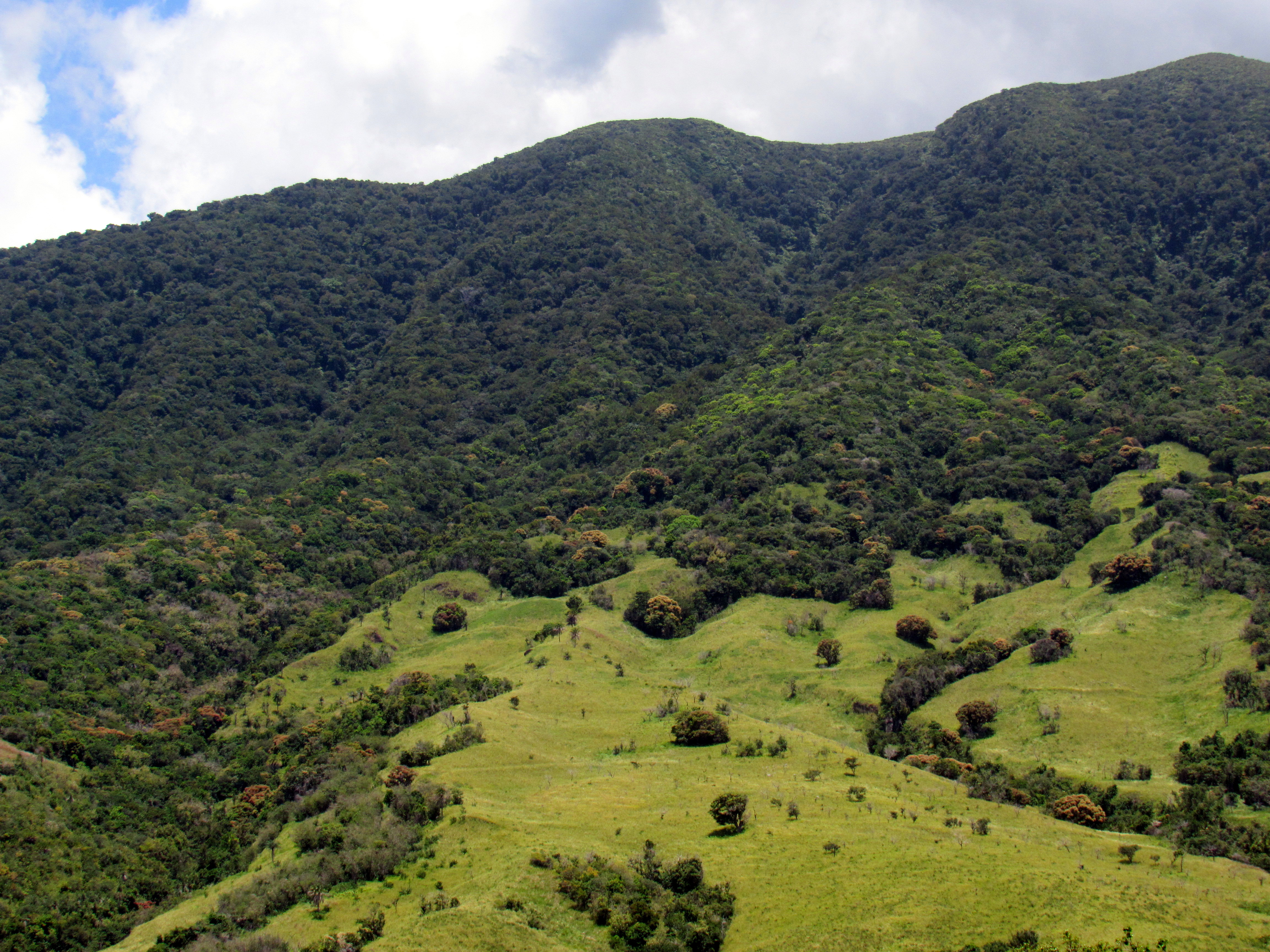 Brimstone Hill Fortress National Park view