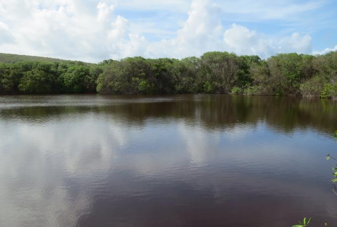 Levera Wetland